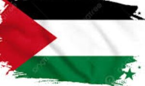 Screenshot_20231109-134721_Google