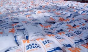 images - 2023-11-10T134754.128