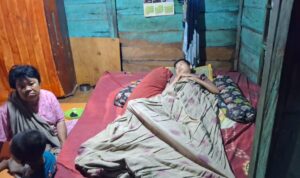 IMG-20251017-WA0004
