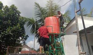 IMG-20260801-WA0186