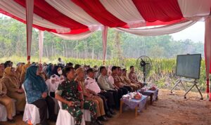 IMG-20260824-WA0269