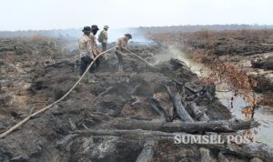 IMG-20260917-WA0057